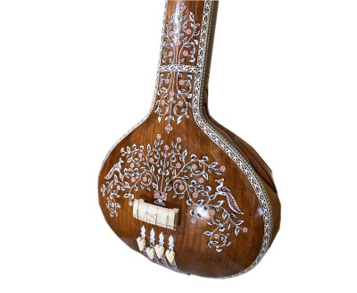 Tanpura Female Concert, full decoration