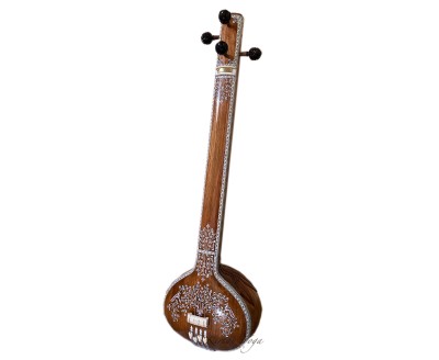 Tanpura Female Concert, full decoration