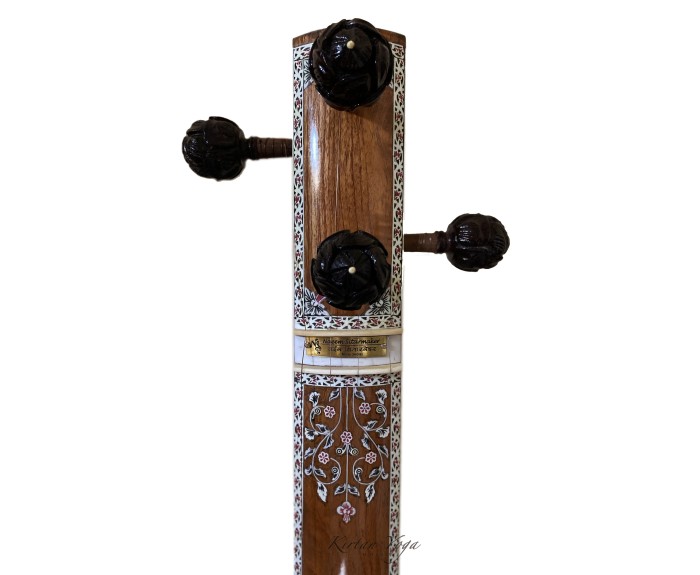 Tanpura Femmina Concerto, decorazione piena