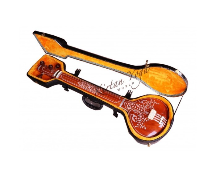 Raga Flat Tanpuri, Femmina