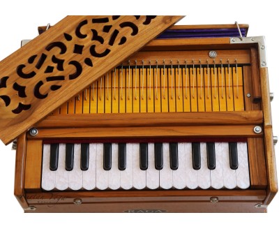 Harmonium Raga Mini Classic Premium