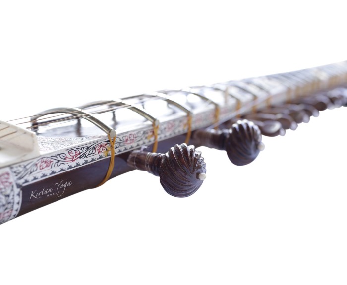 Electric Sitar Monoj Kumar Sardar