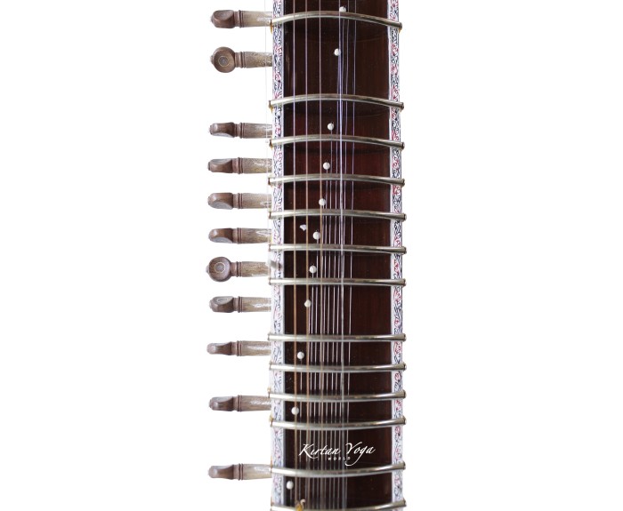 Electric Sitar Monoj Kumar Sardar