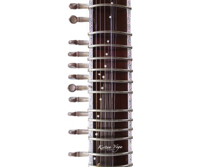 Electric Sitar Monoj Kumar Sardar