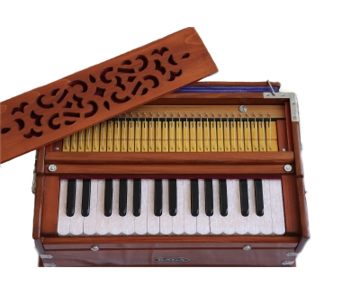 Harmonium Raga "Mini" Classic