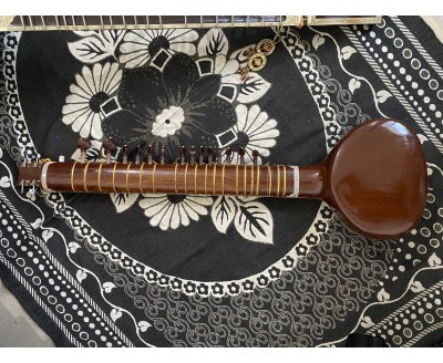 Electric Sitar Radhe Shyam Sharma Varanasi