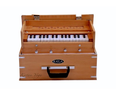 Harmonium Raga Mini Kirtan