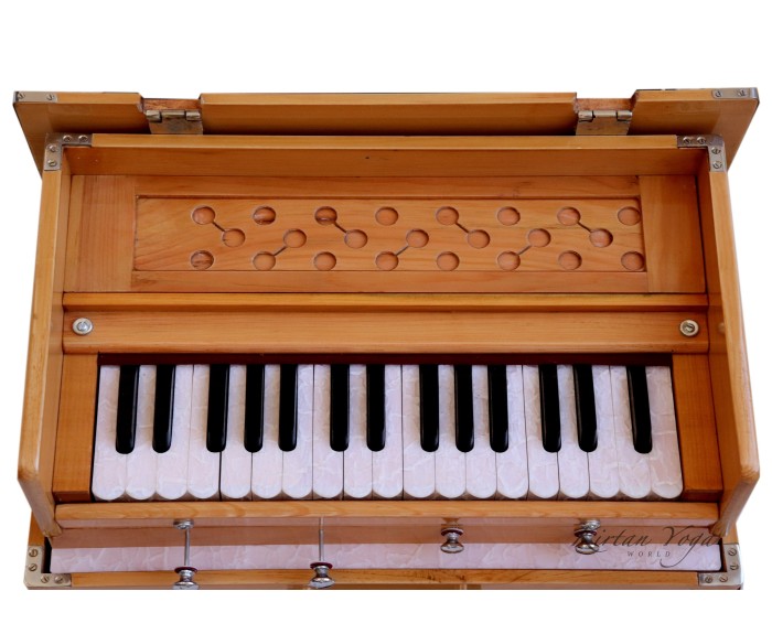 Harmonium Raga Mini Kirtan