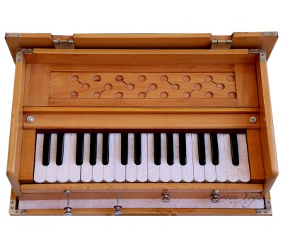 Harmonium Raga Mini Kirtan