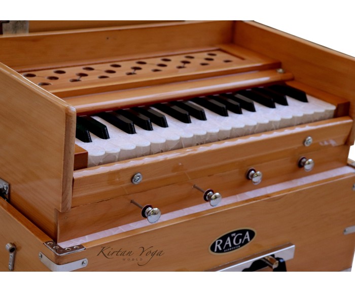 Harmonium Raga Mini Kirtan
