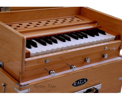 Harmonium Raga Mini Kirtan