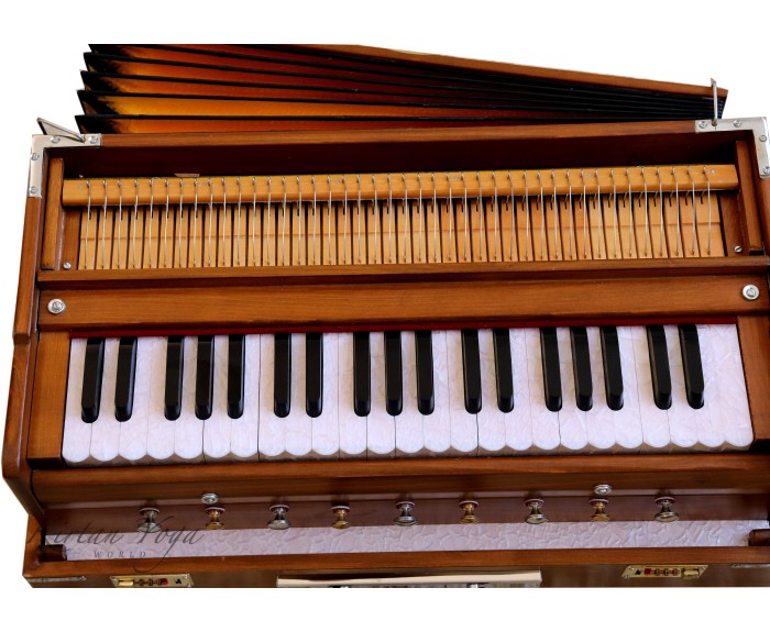 Harmonium Raga Kirtan Premium