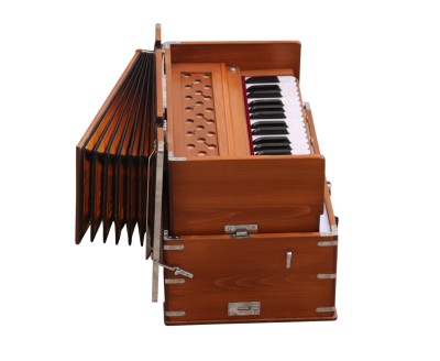 Harmonium Raga Kirtan Mini