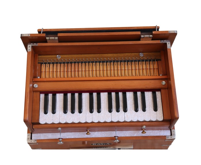 Harmonium Raga Kirtan Mini
