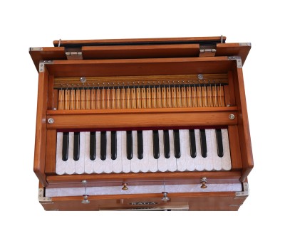 Harmonium Raga Kirtan Mini