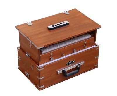 Harmonium Raga Kirtan Mini