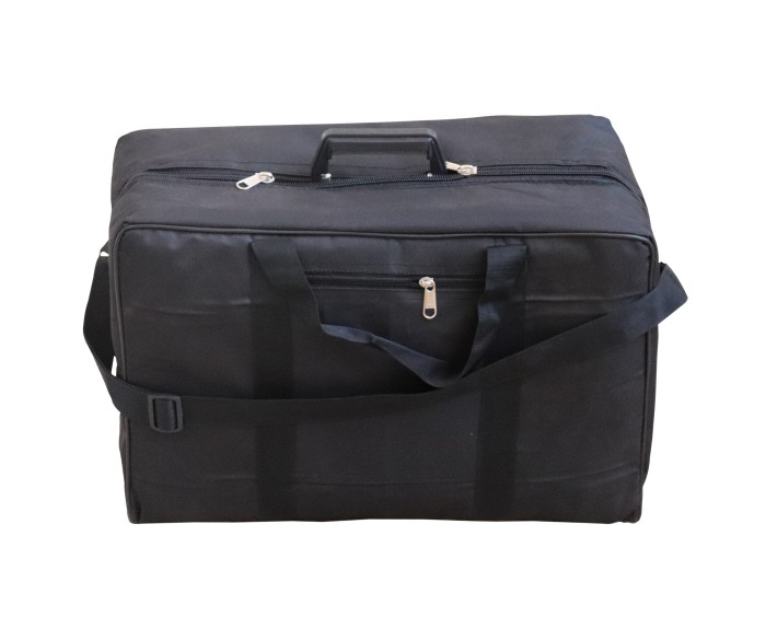 Harmonium Raga Kirtan Mini