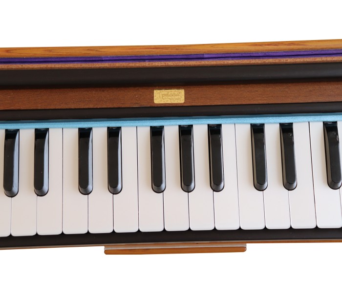 Harmonium Paloma Compactina
