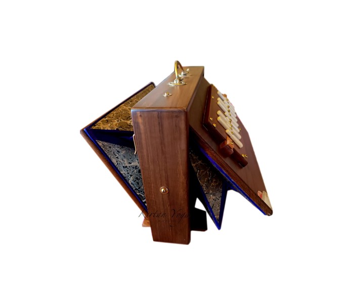 Shruti Box Raga S2 low G