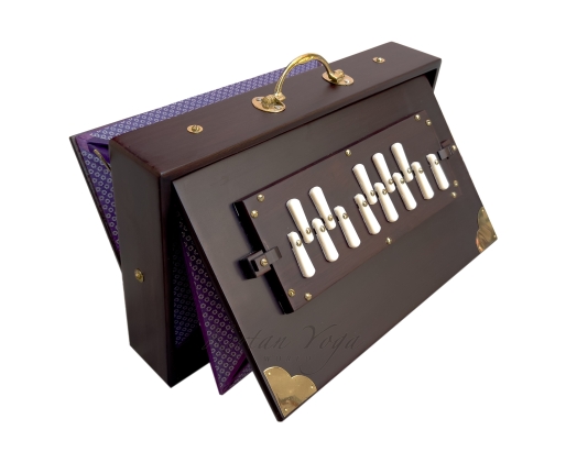 Shruti Box Raga S1 2