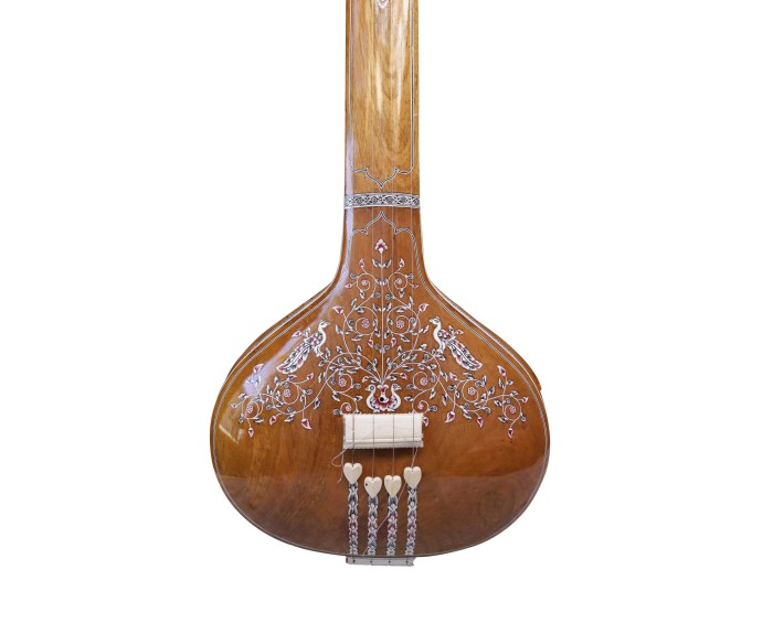 Miraj Tanpura Maschio, decorazione piena