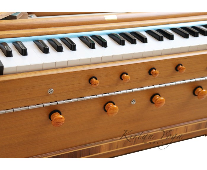 Harmonium Paloma 39 keys, 2 set di ance