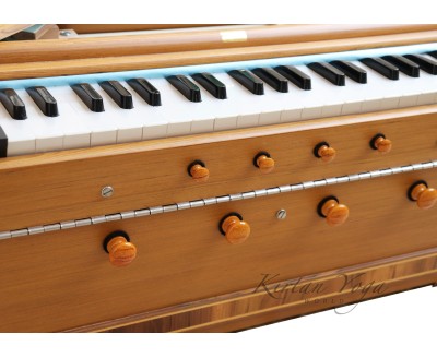 Harmonium Paloma 39 keys, 2 set di ance
