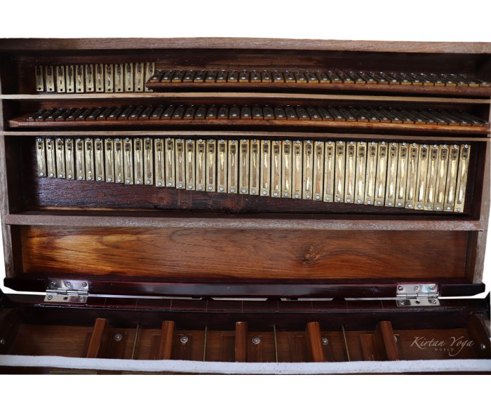 Harmonium Raga Kolkata 3 set di ance, portatile