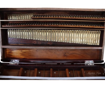 Harmonium Raga Kolkata 3 set di ance, portatile