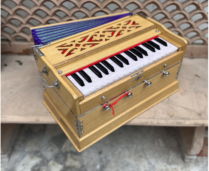 Harmonium Delhi premium mini