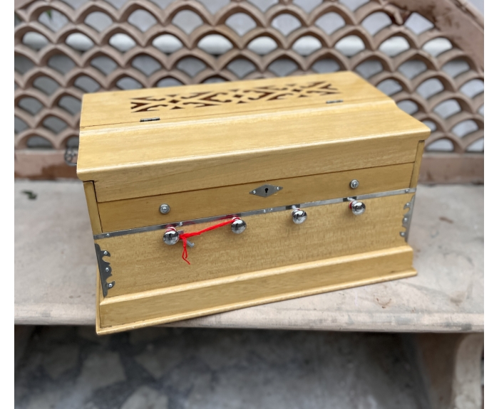 Harmonium Delhi premium mini