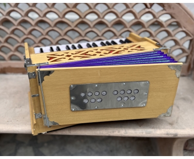 Harmonium Delhi premium mini