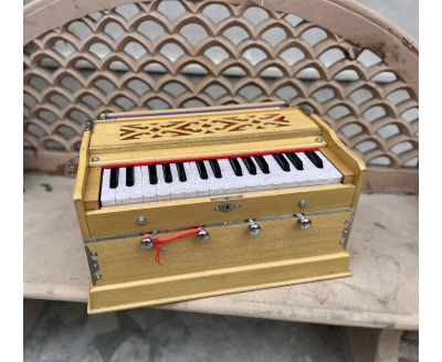 Harmonium Delhi premium mini