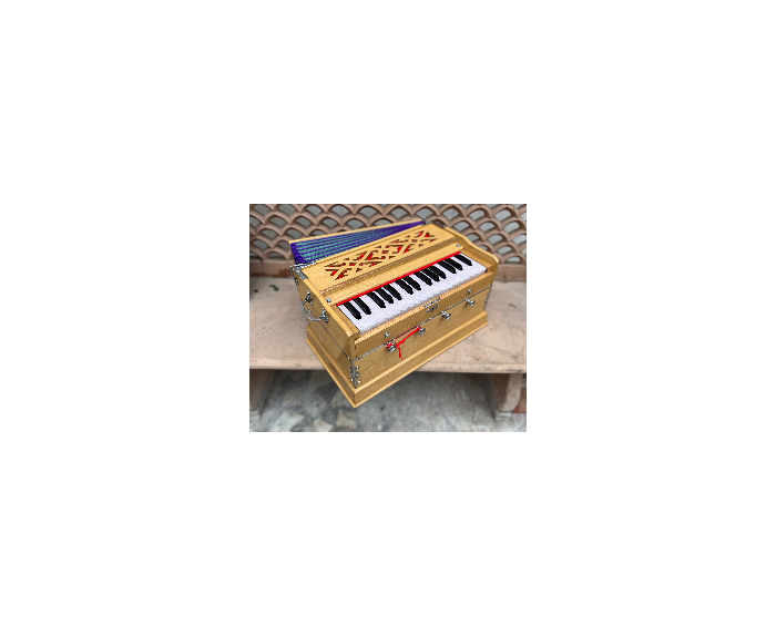 Harmonium Delhi premium mini