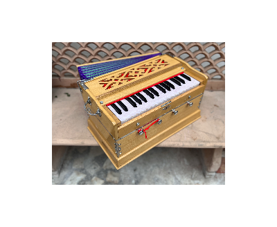 Harmonium Delhi premium mini