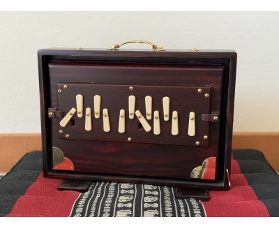 Shruti Box Raga Mini