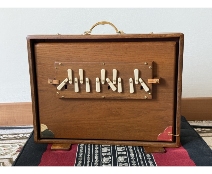 Shruti Box Raga S3 - SOL basso