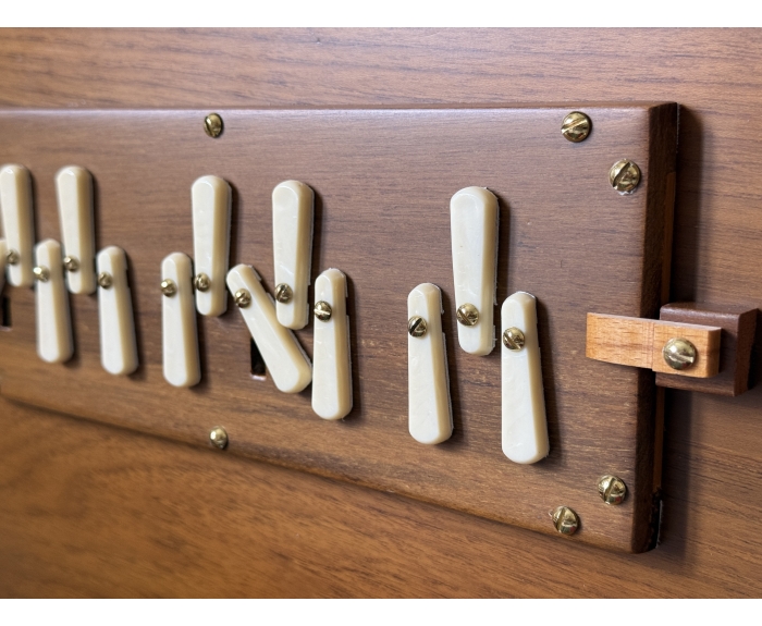 Shruti Box Raga S3 - SOL basso