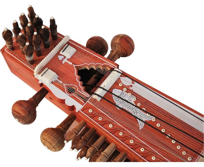 Raga Sarangi n.2