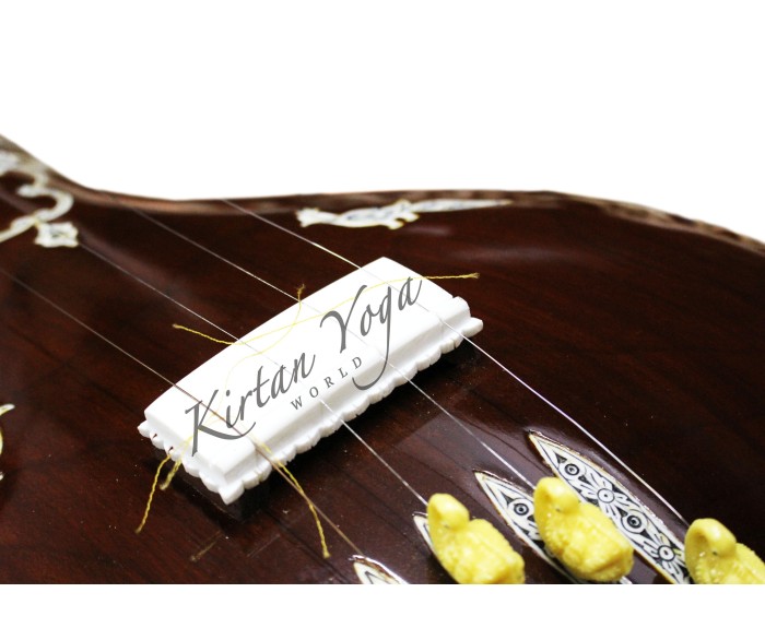 Tanpura Female Kanai Lal & Sons