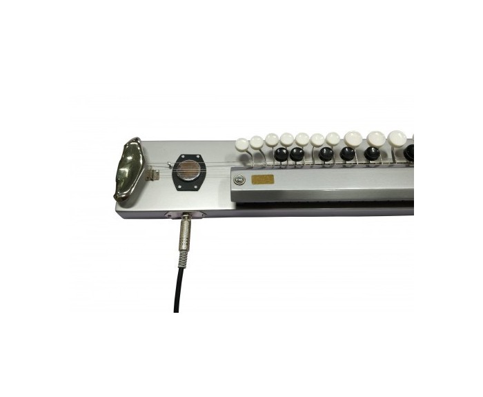 Paloma Bulbul Tarang, Banjo indiano, argento