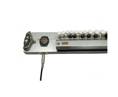 Paloma Bulbul Tarang Silver, Indian Banjo