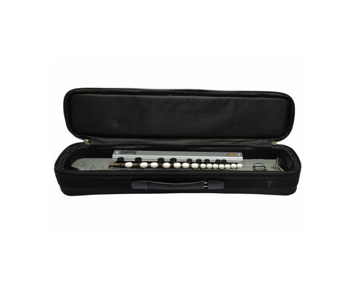 Paloma Bulbul Tarang, Banjo indiano, argento