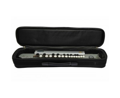 Paloma Bulbul Tarang Silver, Indian Banjo