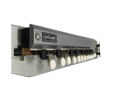 Paloma Bulbul Tarang, Banjo indiano, argento