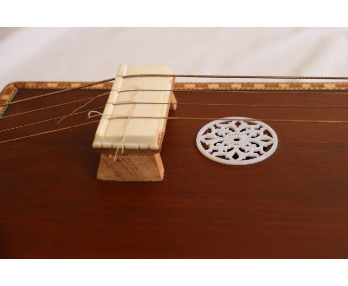 Raga, Tanpura + Swarmandal 2 in 1,
