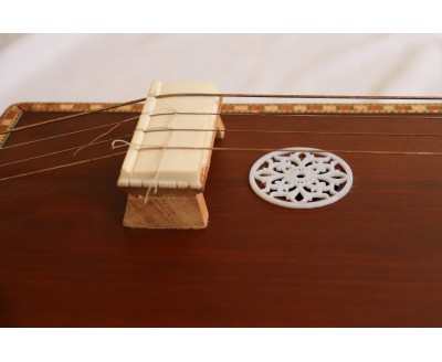 Raga, Tanpura + Swarmandal 2 in 1,