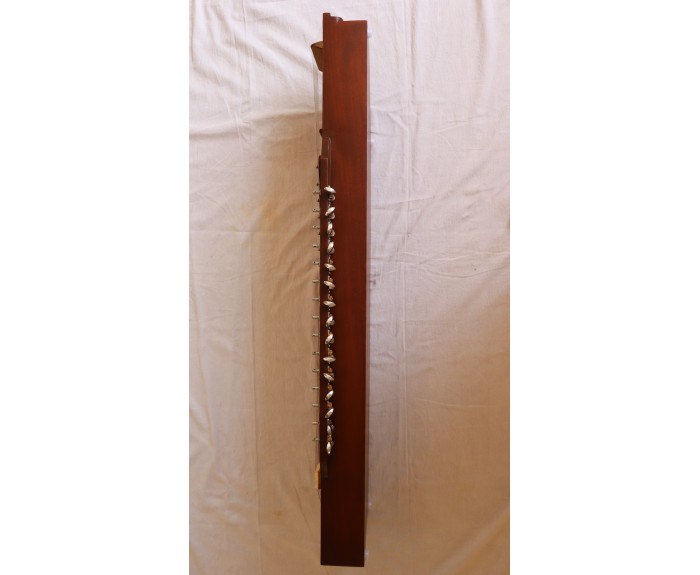 Raga, Tanpura + Swarmandal 2 in 1,