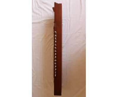 Raga, Tanpura + Swarmandal 2 in 1,