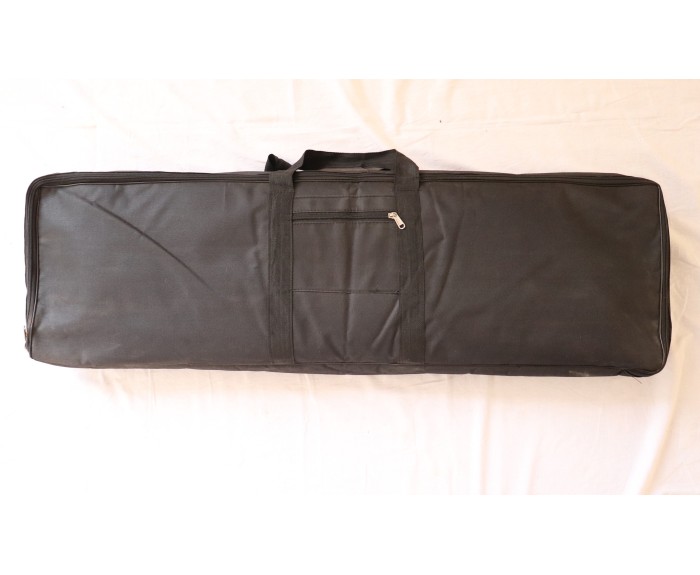 Raga, Tanpura + Swarmandal 2 in 1,